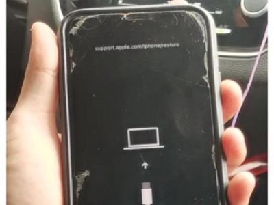 解决苹果连接电脑显示错误43的方法（错误代码43的原因及应对措施）