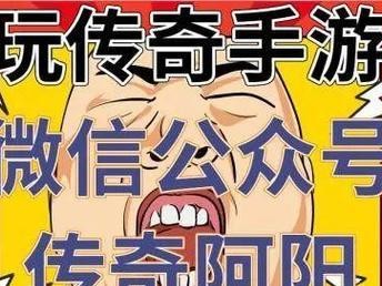 电脑显示rundii错误解决方案（解决rundii错误，让电脑恢复正常运行）