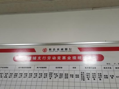 信用社贷款10万的条件及申请流程（快速获得贷款的关键条件与步骤）