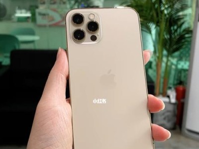 Pro版手机的优势与特点（深入解析Pro版手机的卓越性能和高级功能）