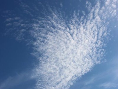 索罗门手机-一款不可忽视的新选择（轻松满足你的通信需求）