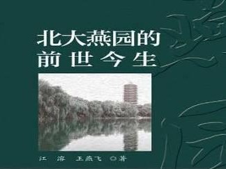 燕飞利仕R300BT蓝牙耳机（品质卓越，舒适耐用，高性能蓝牙耳机的首选之选）